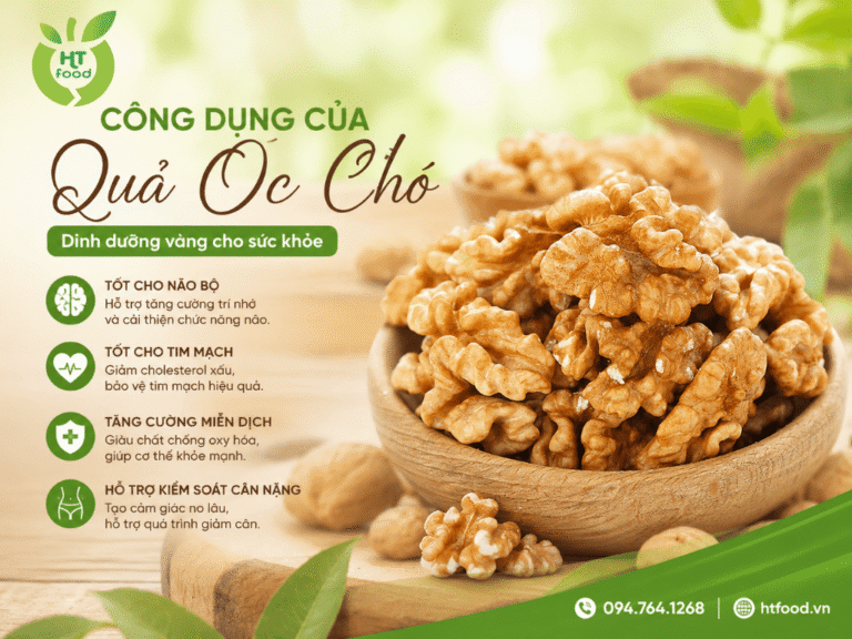 Công dụng của quả óc chó Mỹ: “vua” hạt dinh dưỡng sức khỏe