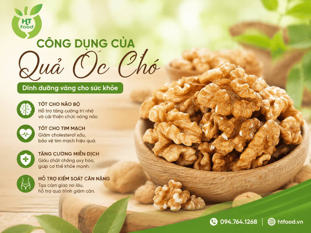Cong dung cua qua oc cho My la gi