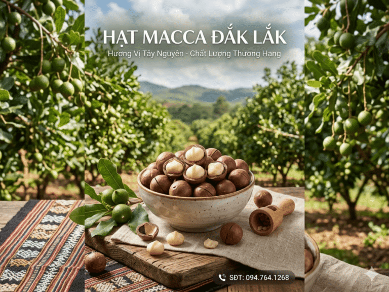 Hạt macca Đắk Lắk mua ở đâu tại TPHCM? Địa chỉ ngon & uy tín