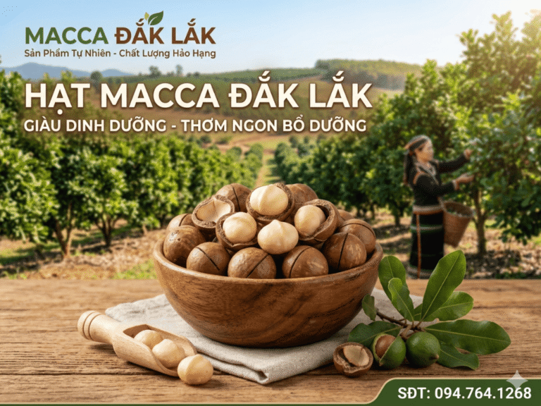 Mua hat macca Daklak gia re