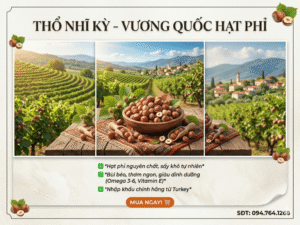 Mua hạt phỉ ở đâu uy tín? Bí quyết chọn Hazelnut chất lượng! Mua hat phi o dau