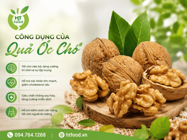 Nhung cong dung cua qua oc cho