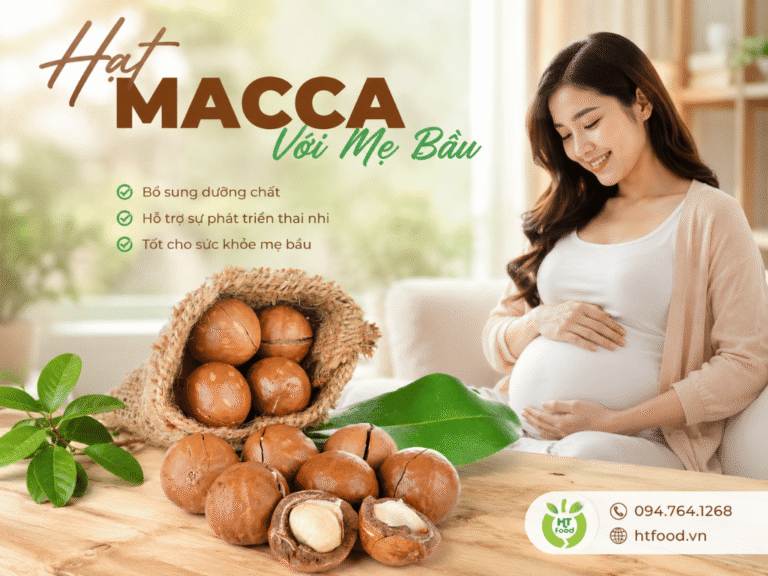 Nhung tac dung cua hat macca voi ba bau