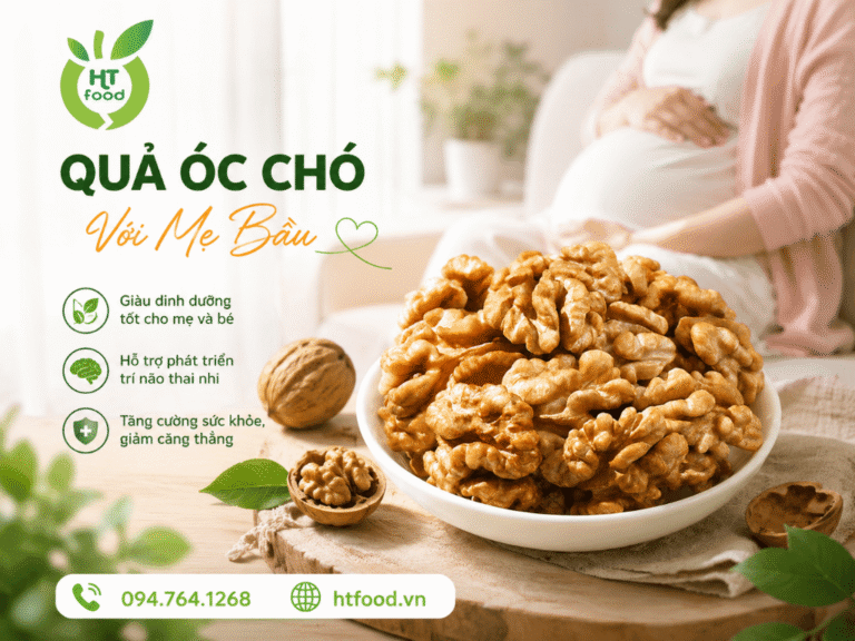 Quả óc chó cho bà bầu: Lợi ích và cách dùng đúng Qua oc cho danh cho ba bau