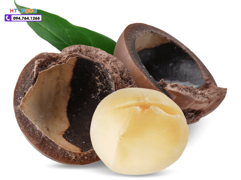 hat macca daklak tai tphcm