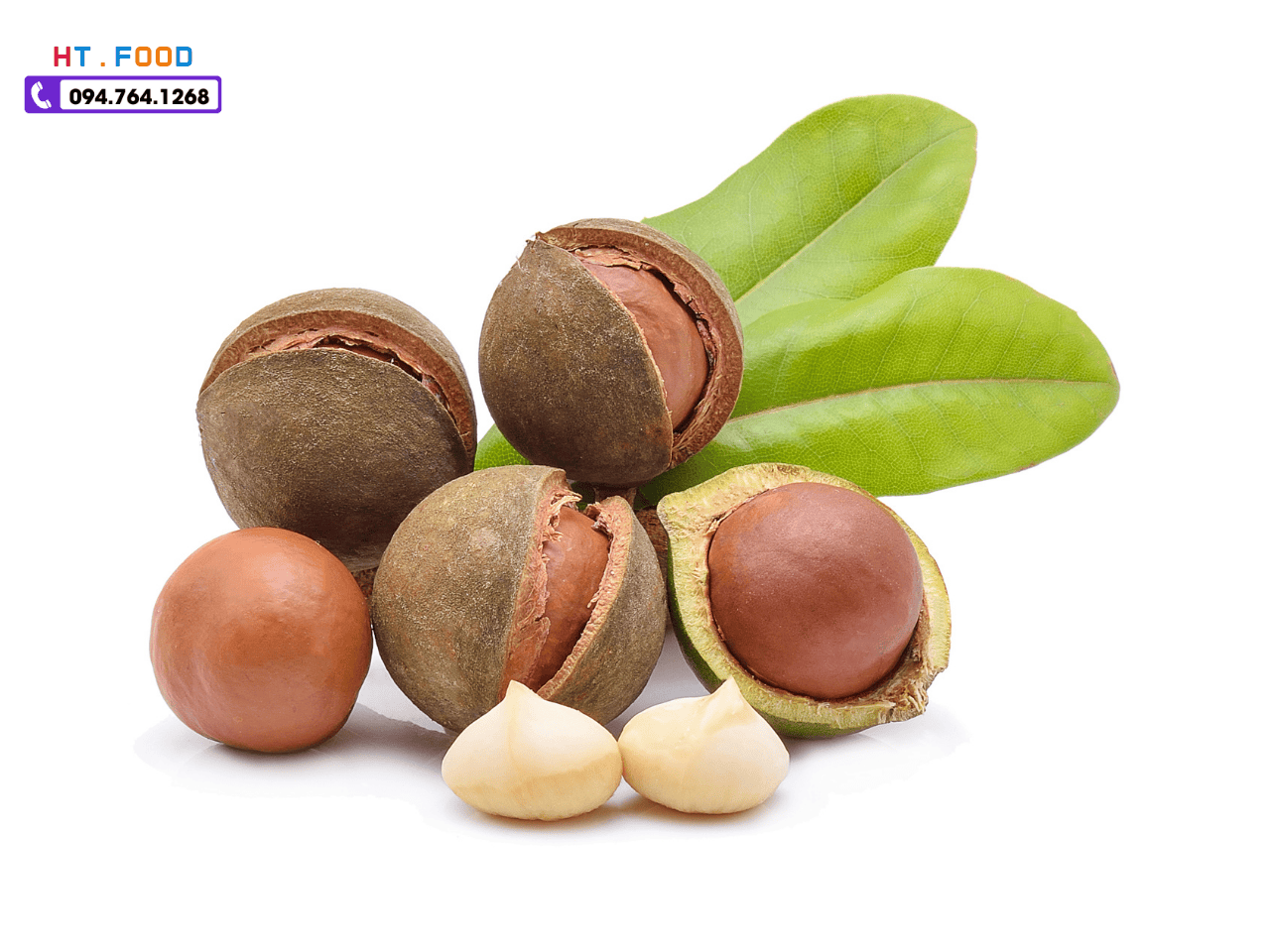 mua hat macca dak lak lam qua bieu