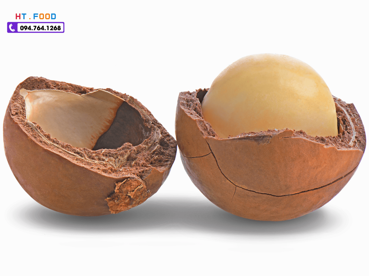 mua hat macca daklak tai ha noi