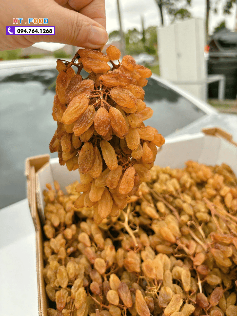 mua nho kho nguyen canh tai nghe an