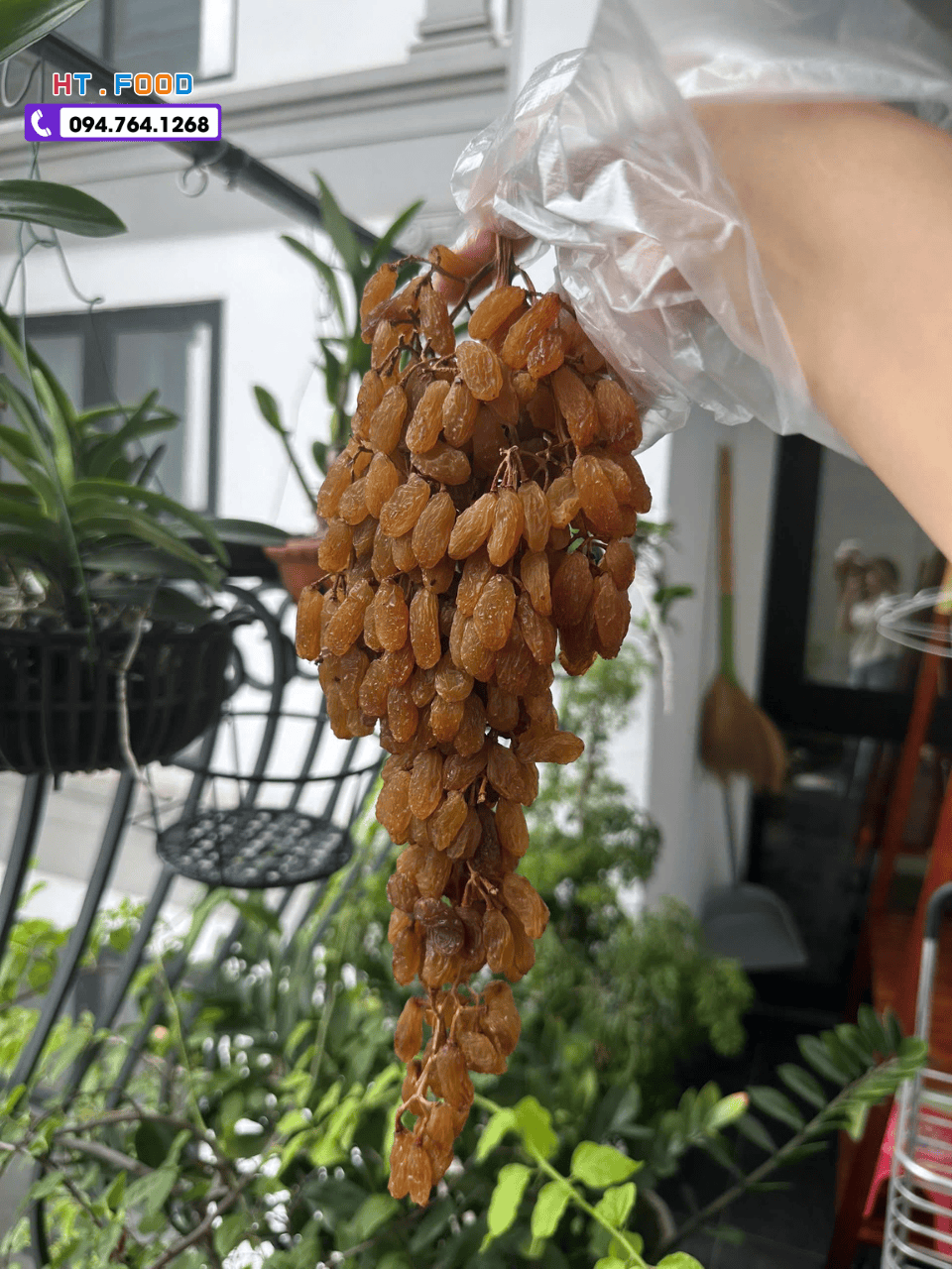 mua nho kho nguyen canh tay ninh