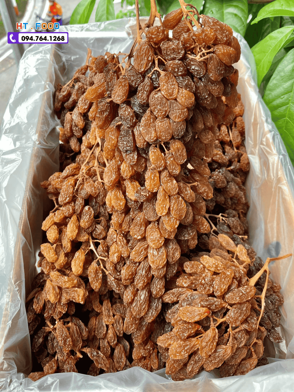 mua nho kho o dau tai ha noi