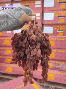 nho kho nguyen canh uc mua tai dau