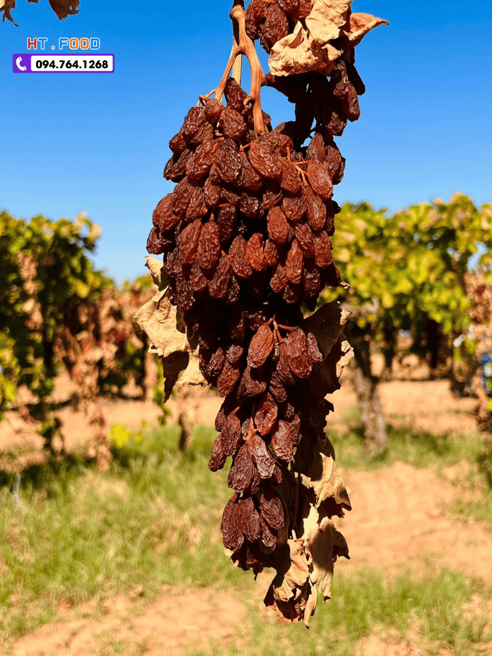 nho kho nguyen canh uc tang doi tac